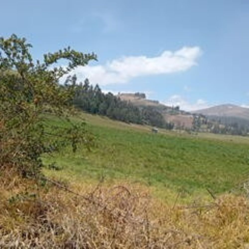 AVALUO VIVIENDA BELEN DEL NORTE (1)